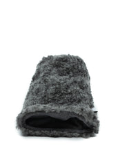 Load image into Gallery viewer, Oh Teddy Grey Edition - Driver